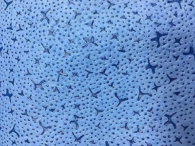 PaintNuts Panel Wipe and Degreasing Cloth